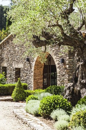 Image of Domaine Les Mésanges