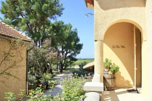 Image of Le Clos Vitis