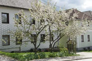 Image of Biobauernhof Gollner