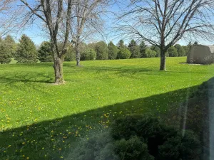 Image of Budget Inn and Suites