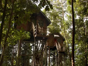 Image of Permai Rainforest Resort