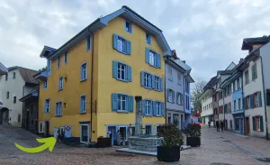 Image of Ambrosia Hüsli