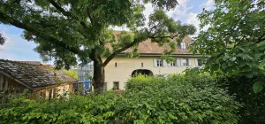 Image of Blue Wall BnB