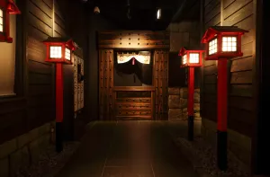 Image of NINJA & GEISHA