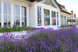 Image of Boutique Hotel Herbergh Amsterdam Airport FREE PARKING