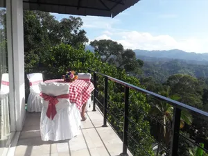 Image of THE " ONEX PARADISE " ELLA