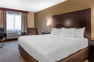 Image of Comfort Inn & Suites