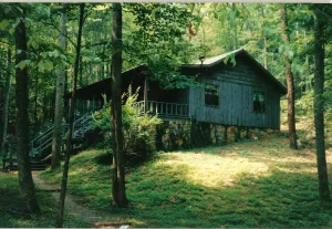 Image of My Little Blue House