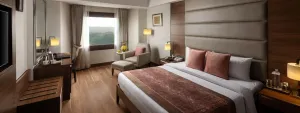 Image of Jaypee Vasant Continental