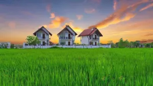 Image of Avonil Resort Yala