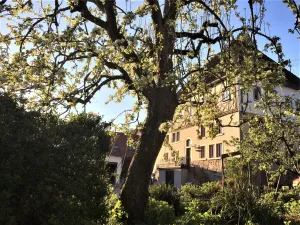 Image of Beim Schloß Michel