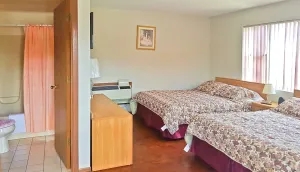 Image of Alpine Motel in heart of Wisconsin Dells downtown.