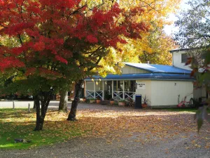 Image of Porepunkah Pines Holiday Park