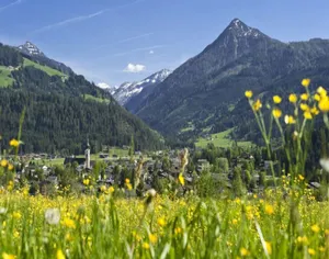 Image of Apartment House Isegrim, Altenmarkt