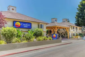 Image of Comfort Inn