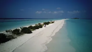 Image of Atollkey