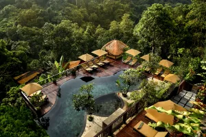 Image of Nandini Jungle by Hanging Gardens