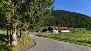 Image of Haflingerhof - Oberjoch