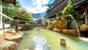 Image of Hirayukan
