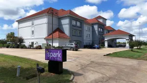 Image of Spark by Hilton Brandon