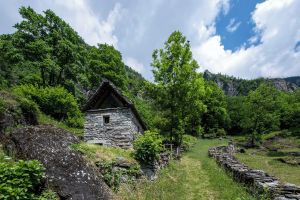 Image of Rustico Savinera - Happy Rentals