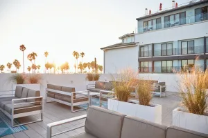 Image of The Redline Venice