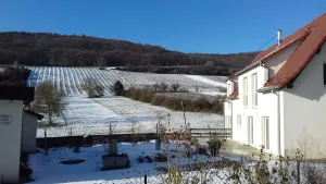 Image of Aux vignes