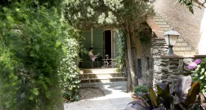 Image of Le Mas des Citronniers