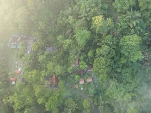 Image of Bali Jungle Resort