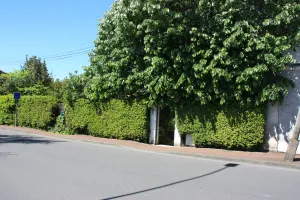 Image of Jardins en Ville