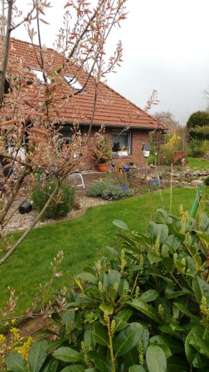 Image of Eulennest