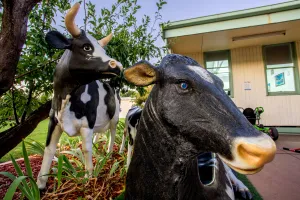 Image of BIG4 Shepparton Park Lane Holiday Park