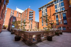 Image of LSE Rosebery Hall