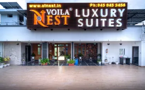 Image of VOILA AT NEST