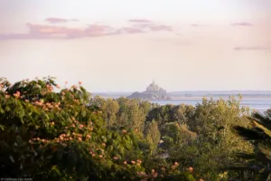 Image of Château Les Hauts