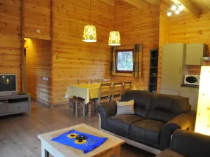 Image of Modern Chalet With Stove Located in the Forest