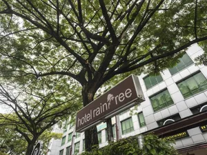 Image of Raintree Hotel