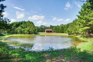 Image of Cozy Summit Cabin with Hiking Trails and Fishing Pond!