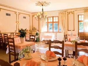 Image of Logis Hôtel Teyssier