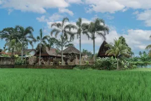 Image of Umadesa Villa Tegallalang