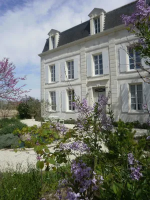 Image of DOMAINE DE BERTHEGILLE