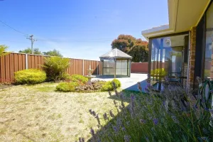 Image of Ocean Beach Villa