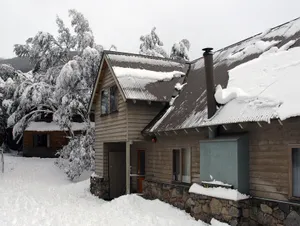 Image of Bollygums - Thredbo
