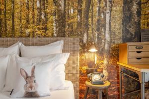 Image of La Maison Hotel Mulhouse