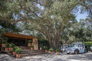 Image of Calamigos Guest Ranch and Beach Club