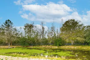 Image of Pasture & Pond Views: Lovely Lutz Apartment