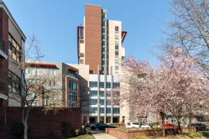 Image of Kasa Alexandria Washington