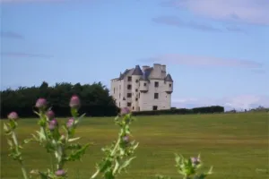 Image of Faside Estate