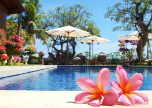 Image of Frangipani Beach Hotel
