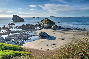 Image of Unique Dog-Friendly Log Cabin Short Walk to Ocean